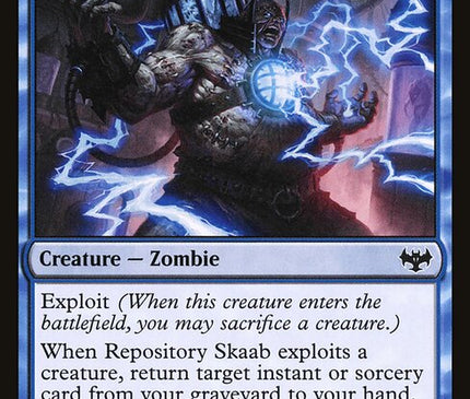 Repository Skaab