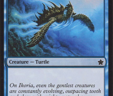 Aegis Turtle