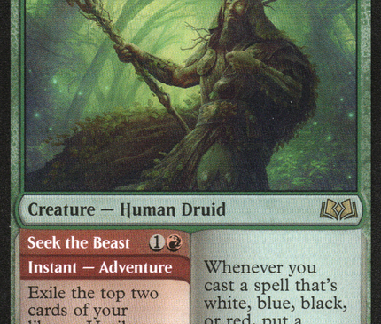 Questing Druid