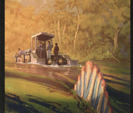 Swamp